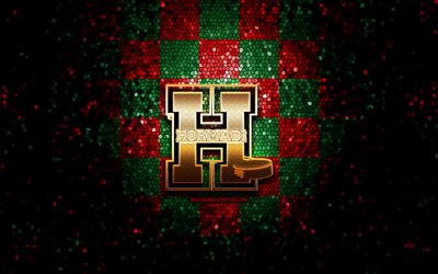 Anglet Hormadi, logo glitter, Ligue Magnus, sfondo a scacchi verde rosso, hockey, squadra di hockey francese, logo Anglet Hormadi, arte mosaico, campionato francese di hockey, Francia