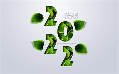 2022 Year Concepts, green leaves, 2022 New Year, eco concept, creative art, 2022 year, Happy New 2022 Year, Gray background