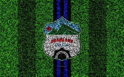 Hoang Anh Gia Lai FC, 4k, logo, football lawn, Vietnamese football club, blue black lines, grass texture, emblem, V League 1, Pleiku, Vietnam, football