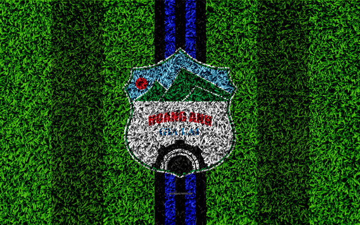 Hoang Anh Gia Lai FC, 4k, logotipo, f&#250;tbol de c&#233;sped, Vietnamita club de f&#250;tbol, azul l&#237;neas de color negro, textura de la hierba, el emblema, la V de la Liga 1 De Pleiku, Vietnam, f&#250;tbol