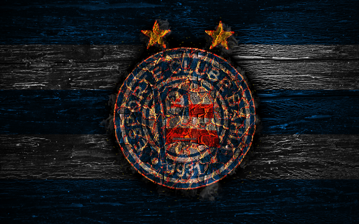 Bahia FC, 4k, le feu du logo, du br&#233;sil Serie A, le football, le grunge, le br&#233;silien du club de football, le soccer, le logo, l&#39;EC Bahia, texture de bois, le Salvador, la couvant de l&#39;arbre, le Br&#233;sil, le FC Bahia