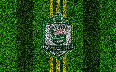 Can Tho FC, 4k, logo, football lawn, Vietnamese football club, yellow green lines, grass texture, emblem, V League 1, Can Tho, Vietnam, football
