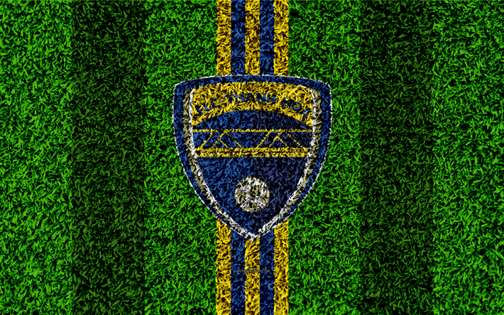 FLC Thanh Hoa FC, 4k, logo, futebol gramado, Vietnamita futebol clube, amarelo azul linhas, grama textura, emblema, V League 1, Thanh Hoa, Vietname, futebol