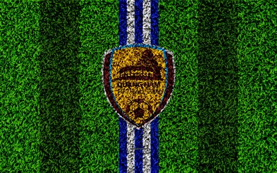 Quang Nam FC, 4k, logo, football lawn, Vietnamese football club, blue white lines, grass texture, emblem, V League 1, Quan Nam, Vietnam, football