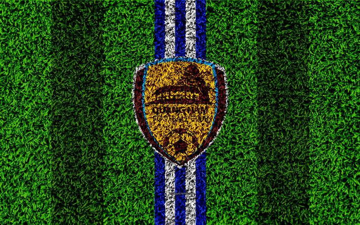 كوانج نام FC, 4k, شعار, كرة القدم العشب, الفيتنامي لكرة القدم, الأزرق خطوط بيضاء, العشب الملمس, V الدوري 1, تشيوان على, فيتنام, كرة القدم