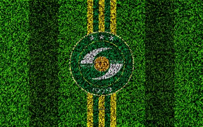 Song Lam Nghe An FC, 4k, logo, football lawn, Vietnamese football club, green yellow lines, grass texture, emblem, V League 1, Vinh, Vietnam, football