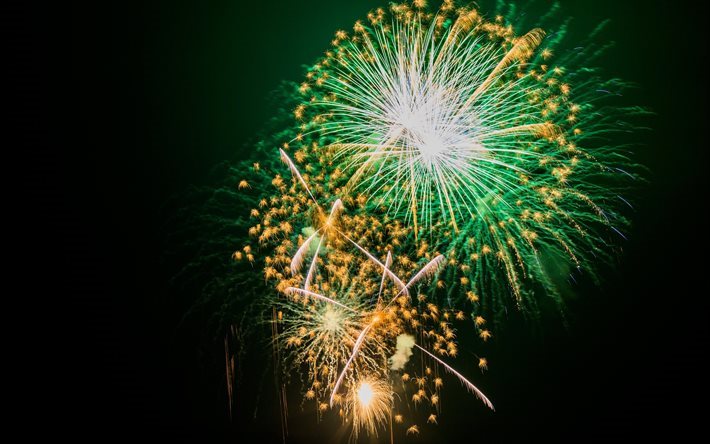 fuochi d&#39;artificio, verde, esplosioni