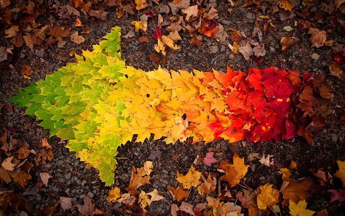 arrow, colorful leaves, autumn, creative