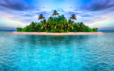 tropical island, ocean, beach, palm trees, small island