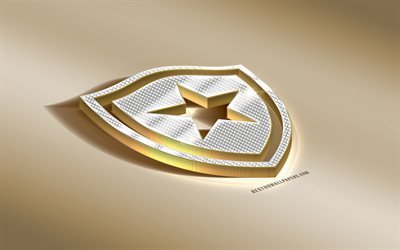 Botafogo, Brasiliansk fotboll club, golden logotyp med silver, Rio de Janeiro, Brasilien, Serie A, 3d gyllene emblem, kreativa 3d-konst, fotboll