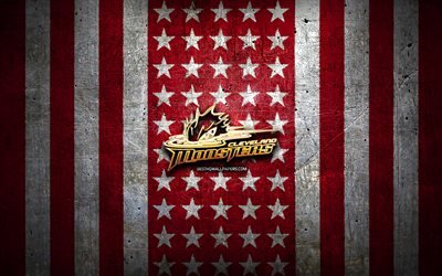 Cleveland Monsters flag, AHL, red white metal background, american hockey team, Cleveland Monsters logo, USA, hockey, golden logo, Cleveland Monsters