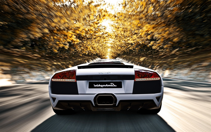 Lamborghini Murcielago, road, supercars, vit Murcielago, italienska bilar, Lamborghini