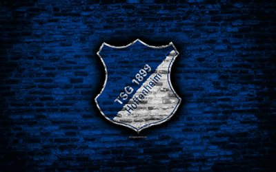 TSG 1899 Hoffenheim FC, logo, blue brick wall, Bundesliga, German football club, soccer, football, brick texture, Hoffenheim, Germany