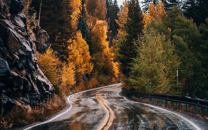 a estrada da montanha, outono, chuva, amarelo &#225;rvores, estrada molhada, floresta, montanhas