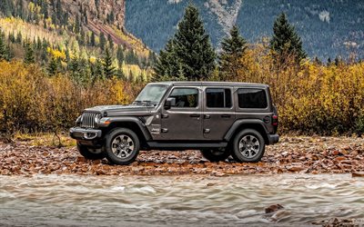 Jeep Wrangler, 2019, side view, nya gr&#229; Wrangler, SUV, amerikanska landskapet, h&#246;st, amerikanska bilar, Jeep