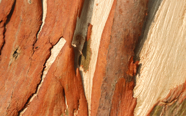 de madera de color marr&#243;n textura, 4k, de madera, antecedentes, close-up, texturas de madera, marr&#243;n, fondos, macro, marr&#243;n fondo de madera