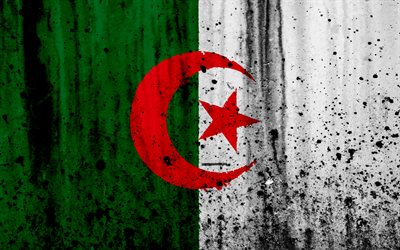 アルジェリア国旗, 4k, グランジ, グアルジェリア, アフリカ, アルジェリア, 国立記号