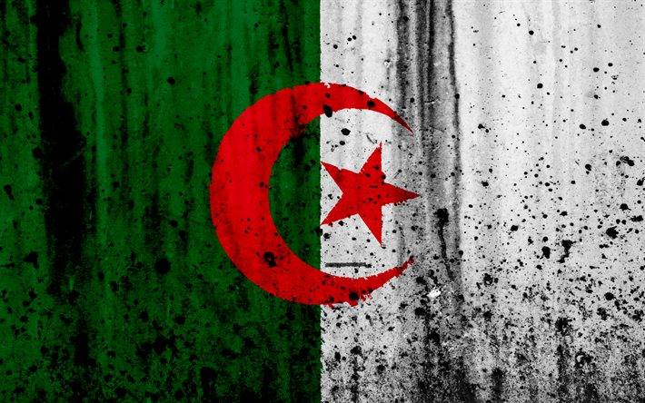 Argelia bandera, 4k, el grunge, la bandera de Argelia, &#193;frica, Argelia, s&#237;mbolos nacionales, Argelia bandera nacional