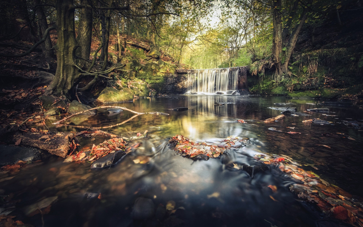 outono, cachoeira, rio, floresta, folhas amarelas, folhas ca&#237;das, paisagem de outono, bela cachoeira