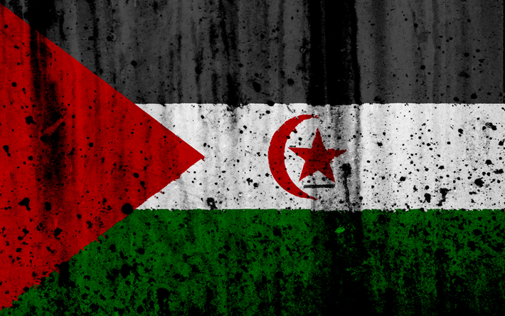 arabischen demokratischen sahara-republik flagge, 4k, grunge, flagge sadr, afrika, sahara arabische demokratische republik, nationale symbole, sadr-national flag