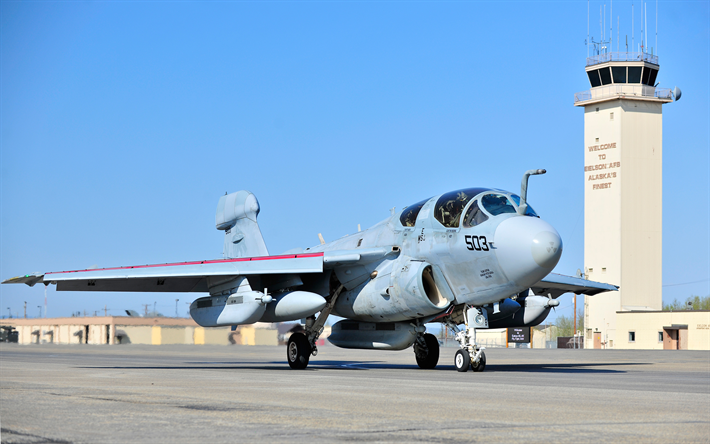 Grumman EA-6 Prowler, reconnaissance aircraft, deck aircraft, US Navy, USA