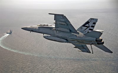 Grumman F-14 Tomcat, US Air Force, jet fighter, deck aircraft, USA, aircraft carrier, F-14, military aircraft