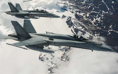 Grumman F-14 Tomcat, caccia-intercettore, aereo militare, aeronautica Canadese, paesaggio di montagna, neve