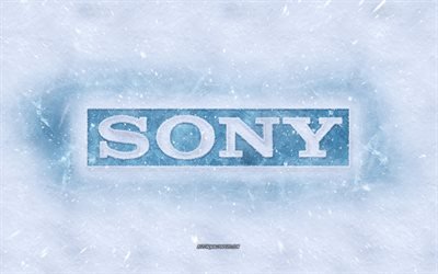 Log&#243;tipo Sony, inverno conceitos, neve textura, neve de fundo, Sony emblema, inverno arte, Sony