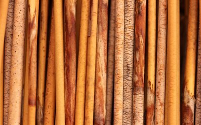 bamboo texture, bamb&#249;, sfondo, di legno, foresta di bamb&#249;