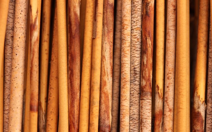 bambou de la texture, de bambou, fond, de bois, for&#234;t de bambous