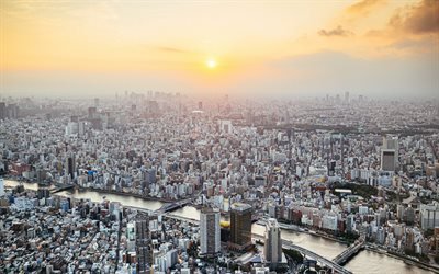 Tokyo, sunset, kv&#228;ll, stadsbilden, metropol, byggnader, Japan