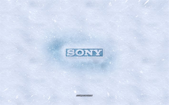 Il logo Sony, inverno concetti, Sony ghiaccio e logo, ghiaccio texture, consistenze di neve, neve, sfondo, Sony emblema, invernali, arte, Sony
