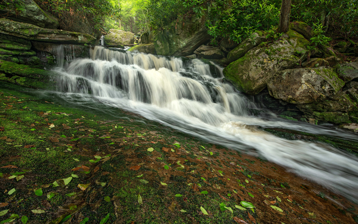 Blackwater Falls, 4k, şelale, akşam, taşlar, orman, g&#252;zel şelale, Blackwater Falls Eyalet Parkı, Virginia, AMERIKA Birleşik Devletleri