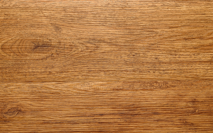 texture bois horizontale, macro, fond en bois marron, arri&#232;re-plans en bois, arri&#232;re-plans marron, textures en bois