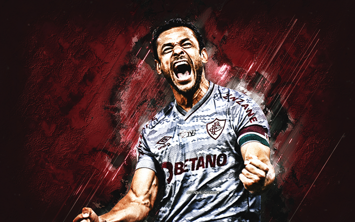 Fred, portrait, Fluminense, Frederico Chaves Guedes, Brazilian soccer player, burgundy stone background, Serie A, Brazil, soccer