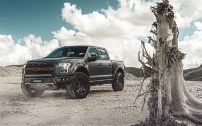4k, ford f-150 raptor, offroad, 2018 autos, w&#252;ste, pickups, ford