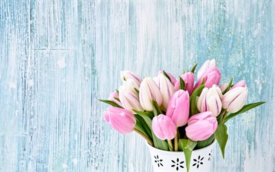 ramo de tulipanes de color rosa, azul fondo de madera, tulipanes, hermosas flores, ramo de flores de primavera