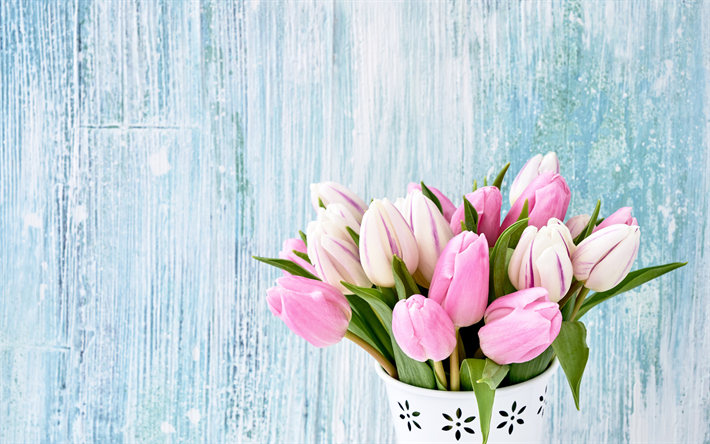 bouquet de tulipes roses, bleu, fond de bois, de tulipes, de belles fleurs, bouquet de printemps