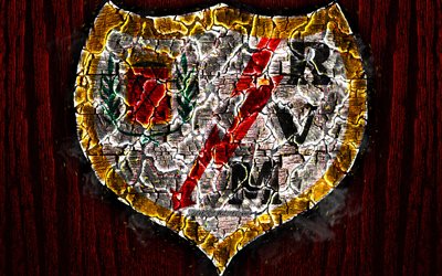 rayo vallecano fc, verbrannten logo, laliga, rote holz-hintergrund, der spanischen fu&#223;ball-club, la liga, grunge, rayo vallecano traurig, football, fu&#223;ball, rayo vallecano logo -, feuer-textur, spanien