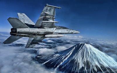Boeing FA-18EF Super Hornet, 4k, fighter, American Army, US Navy, Boeing, combat aircraft, US Army