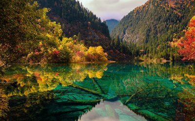 Jiuzhaigou, Fem Blomma Sj&#246;n, national park, emerald lake, mountain lake, bergslandskapet, Sichuan-Provinsen, Kina
