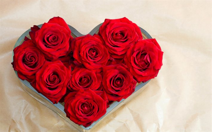 Heart of red roses, Valentines Day, bouquet of red roses, red roses heart, roses