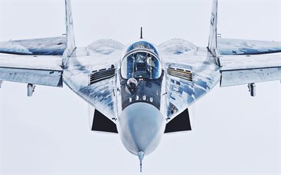 Mikoyan MiG-29, close-up, Fulcrum MiG-29, des avions de combat, de chasse, l&#39;ukrainien de la Force A&#233;rienne, avion de chasse