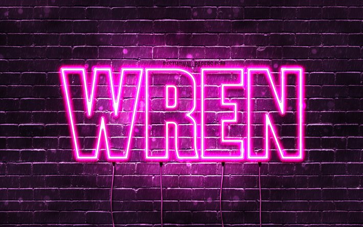 Wren, 4k, wallpapers with names, female names, Wren name, purple neon lights, horizontal text, picture with Wren name