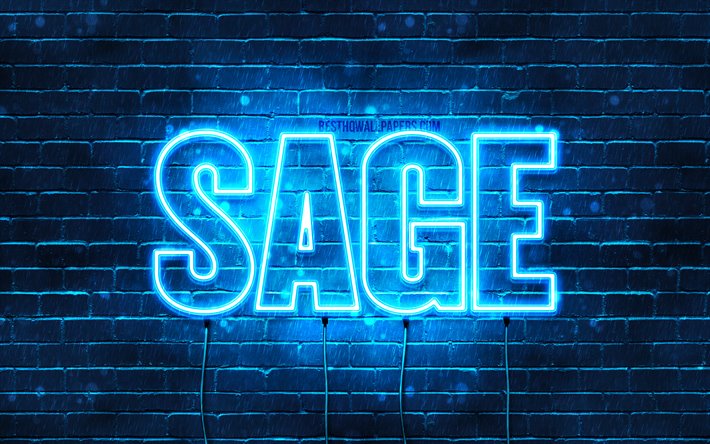 Sage, 4k, pap&#233;is de parede com os nomes de, texto horizontal, Sage nome, luzes de neon azuis, imagem com o Sage nome