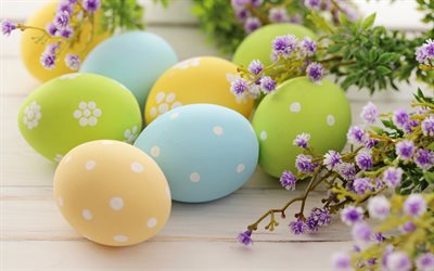 イースターの卵, 色の卵, 春の花, 春, イースター, 柳