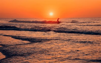 kusten, seascape, surfa, v&#229;gor, sunset, kv&#228;ll, surfare p&#229; sunset