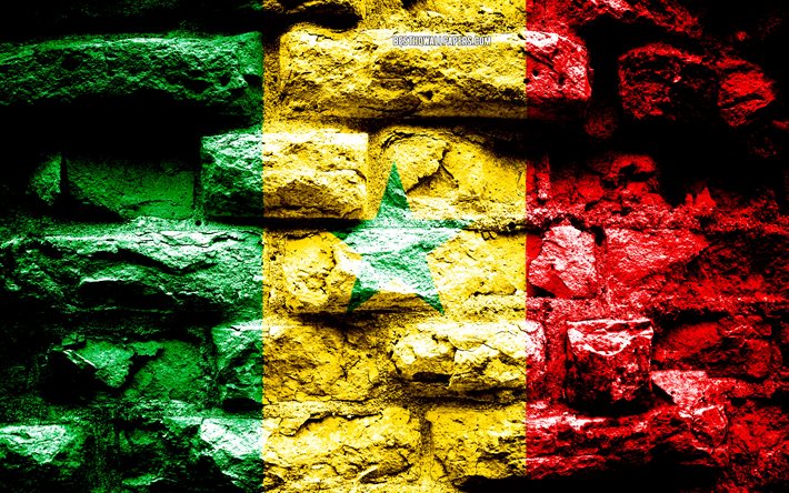 Senegal bandeira, grunge textura de tijolos, Bandeira do Senegal, bandeira na parede de tijolos, Senegal, bandeiras dos pa&#237;ses da &#193;frica