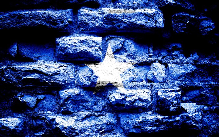 Somalia flag, grunge brick texture, Flag of Somalia, flag on brick wall, Somalia, flags of Africa countries