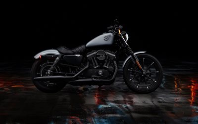 Harley Davidson Sportster Iron 883, en 2020, vue de c&#244;t&#233;, &#224; l&#39;ext&#233;rieur, de moto noir, american moto, Harley Davidson